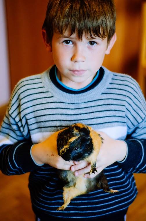 Прийнявши на 10 днів двох діток війни, Ви зробите більше добра, ніж політики-депутати-демагоги разом узяті 2 DrogMedia Прийнявши на 10 днів двох діток війни, Ви зробите більше добра, ніж політики-депутати-демагоги разом узяті