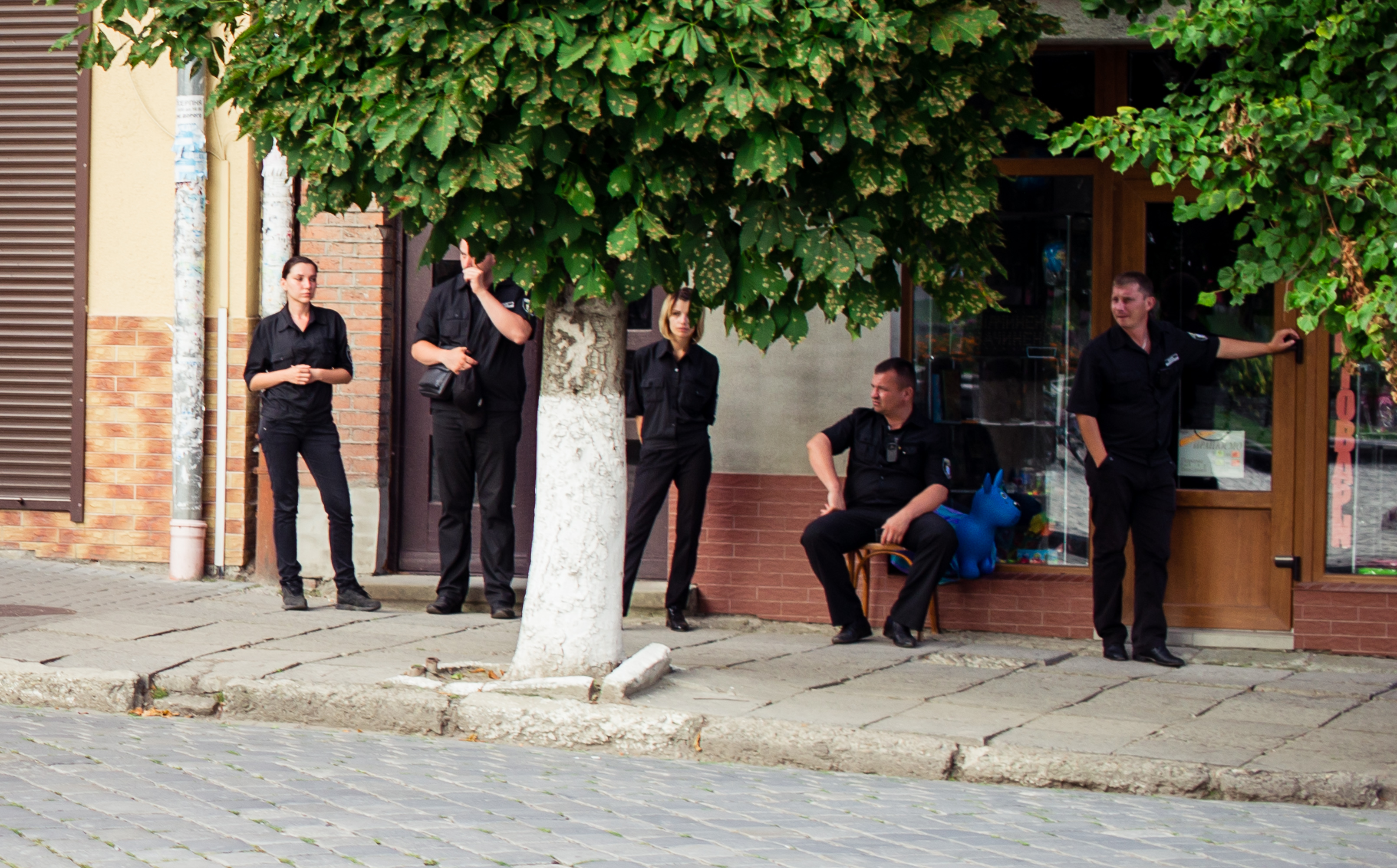 DrogMedia Ціна і якість безпеки та благоустрою