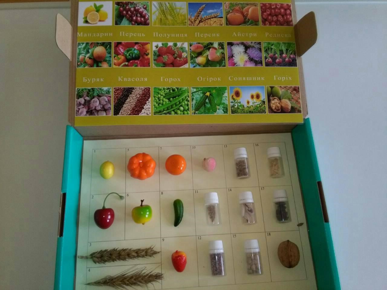 DrogMedia НОВА УКРАЇНСЬКА ШКОЛА. РЕАЛІЇ