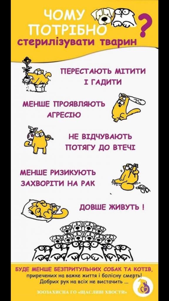 DrogMedia Німина все стерпить, а совість?