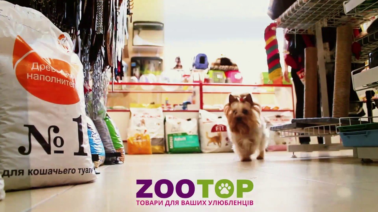 DrogMedia Про тварин. Для тварин. І з любов’ю! Мережа зоомагазинів ЗооТоп та її творці