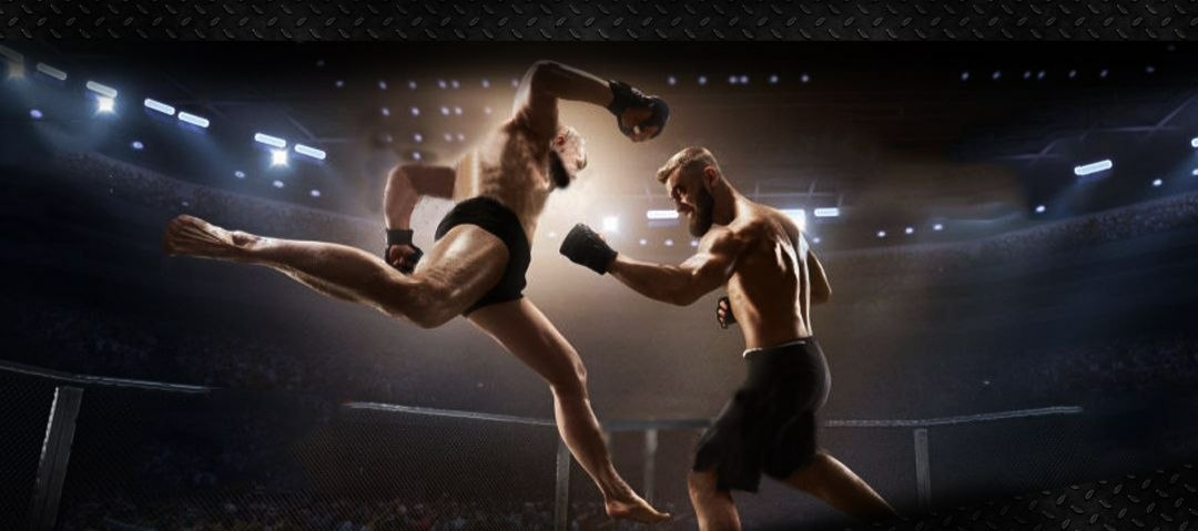 DrogMedia У Дрогобичі до Дня міста відбудеться турнір зі змішаних єдиноборств