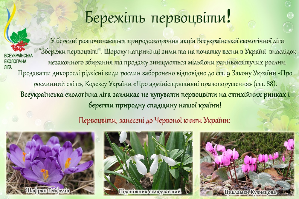 DrogMedia Продають первоцвіти - викликайте поліцію