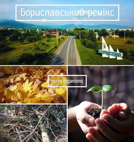 DrogMedia У Бориславі буде компостувальна станція: потрібен Твій голос