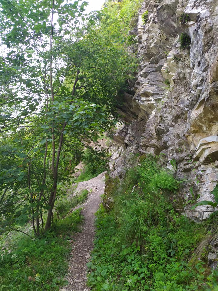 DrogMedia Веломандрівка у Довге Гірське: сакральна спадщина, найвищий водоспад Львівщини, цвіт водяної лілії, закинута дамба та непідкорена Гора Небесної Сотні