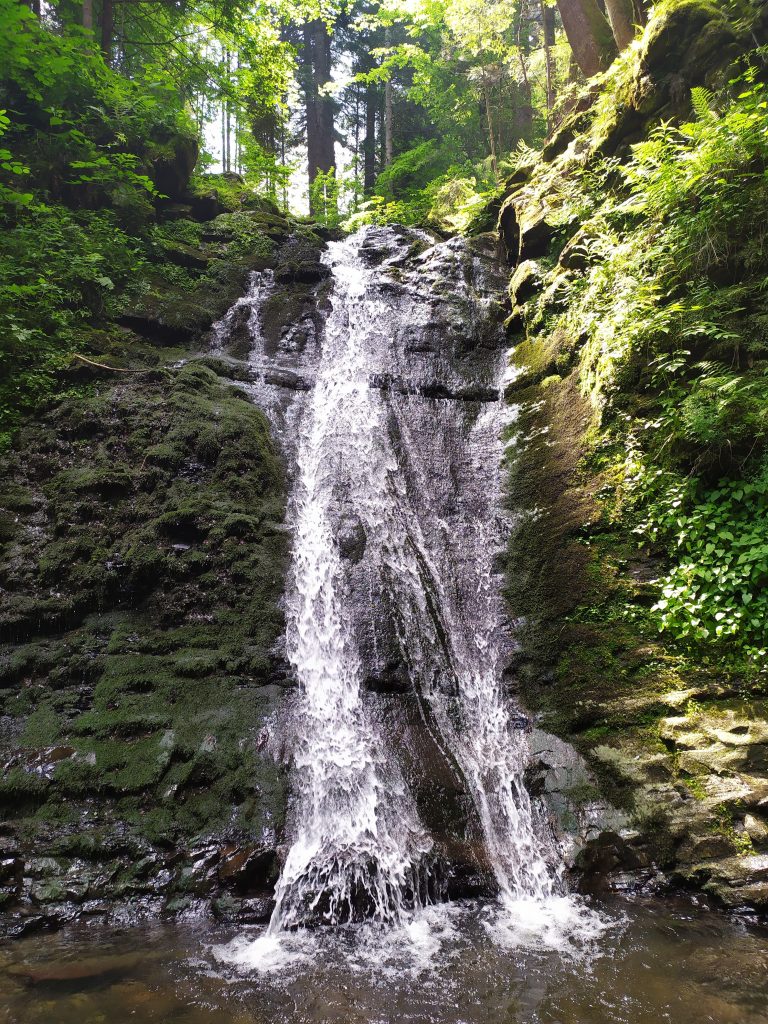 DrogMedia Веломандрівка у Довге Гірське: сакральна спадщина, найвищий водоспад Львівщини, цвіт водяної лілії, закинута дамба та непідкорена Гора Небесної Сотні