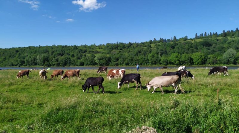село Довге Гірське