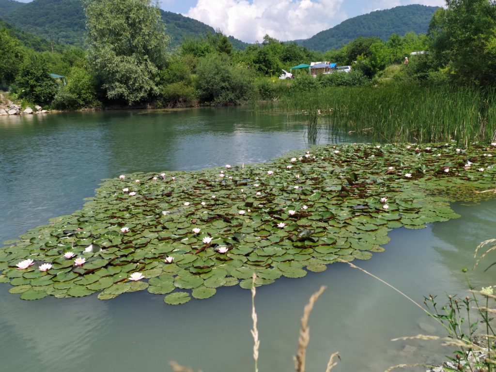 Веломандрівка у Довге Гірське: сакральна спадщина, найвищий водоспад Львівщини, цвіт водяної лілії, закинута дамба та непідкорена Гора Небесної Сотні 17 Озеор в селі Довге Гірське