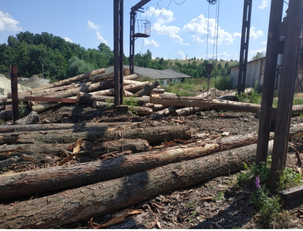 DrogMedia У Солонську виявили нелегальну пилораму