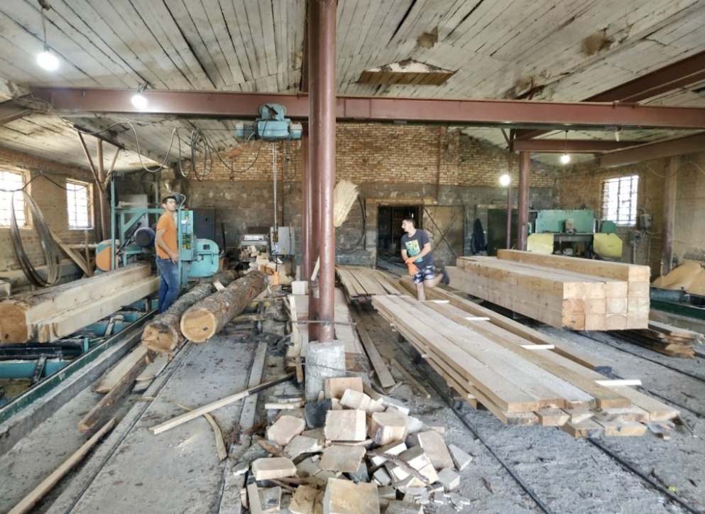 DrogMedia У Солонську виявили нелегальну пилораму