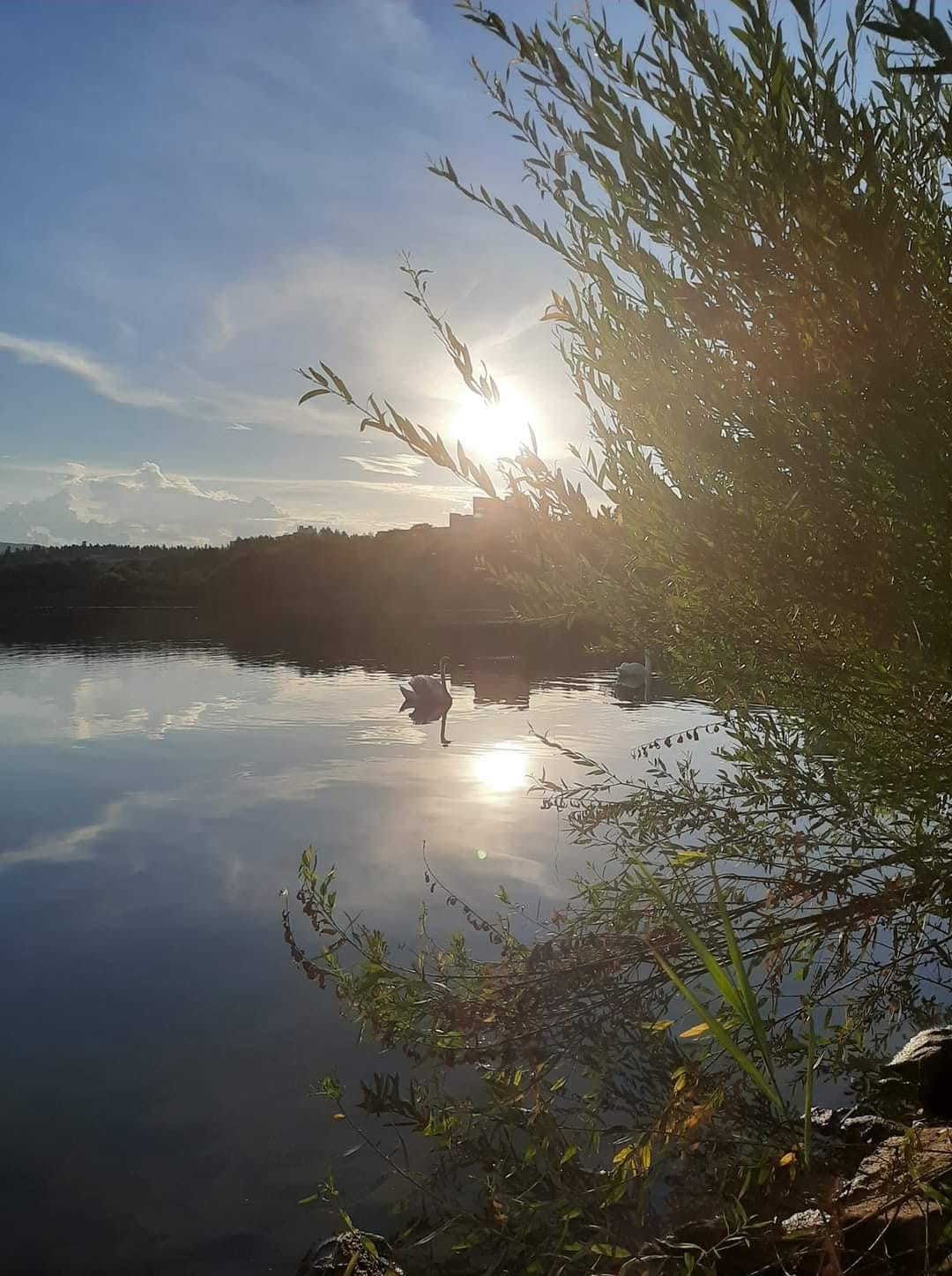 До +34° у Дрогобичі та до +42° на Львівщині: якою буде погода 5 серпня