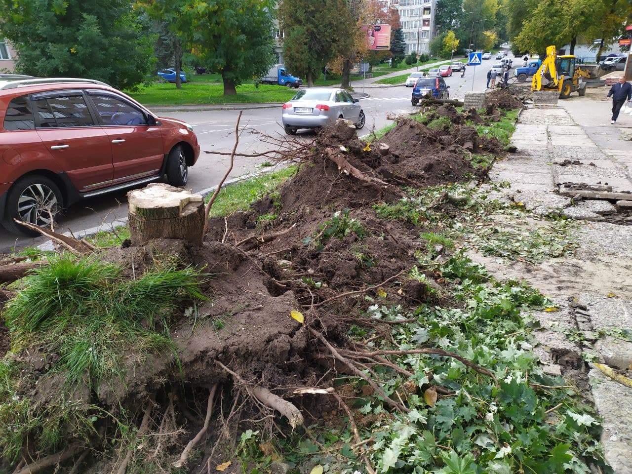 DrogMedia ФОТОФАКТ: на вул.Бориславській зрізали дерева