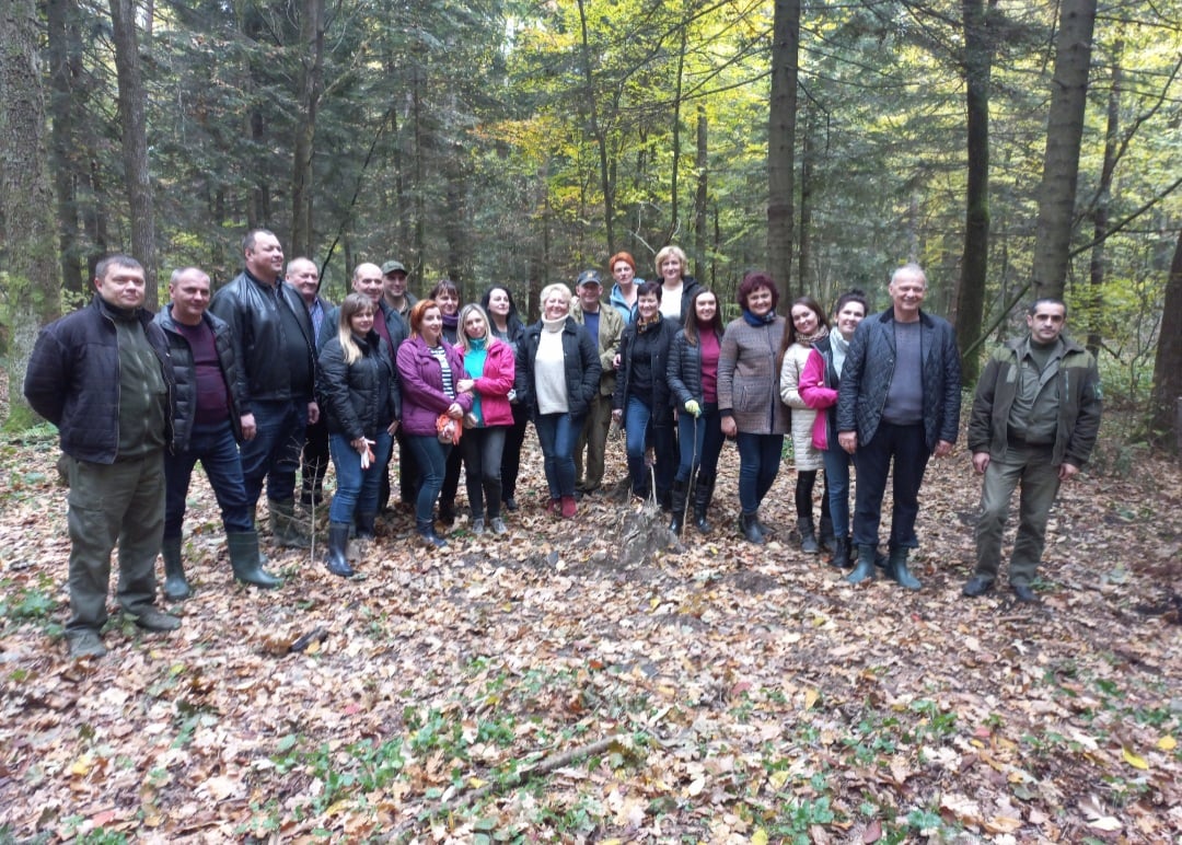 DrogMedia У Летнянському лісництві висадили 800 дубів