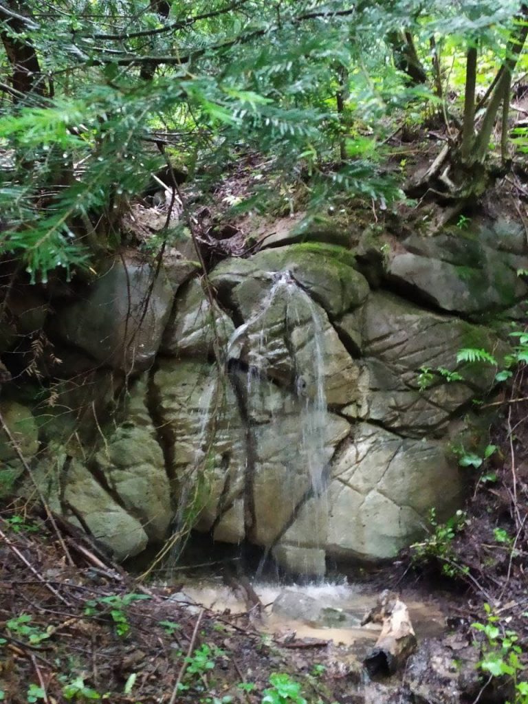 DrogMedia Вперше гірське село Опака включено у програму туроператора