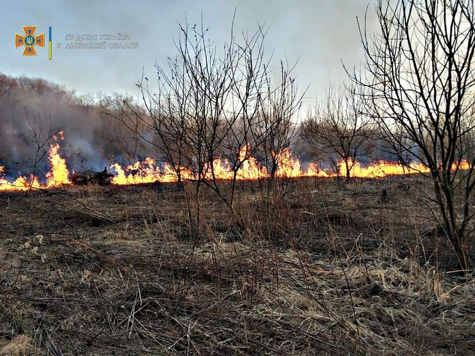 DrogMedia Рятувальники Дрогобиччини 15 разів за добу виїжджали на гасіння сухостою