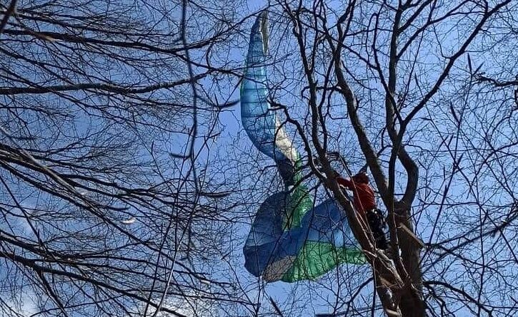 DrogMedia У Довгому Гірському параплан застряг на дереві