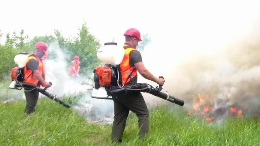 DrogMedia Рятувальники та працівники лісгоспу провели спільні навчання