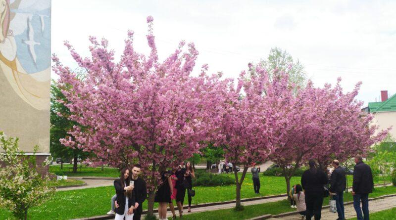 DrogMedia У Дрогобичі оголошено конкурс на кращий проєкт парку та реконсторукції ринку