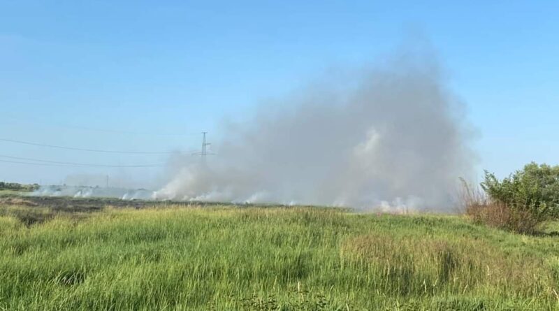 DrogMedia Дрогобицькі вогнеборці за добу ліквідували 4 пожежі в екосистемах