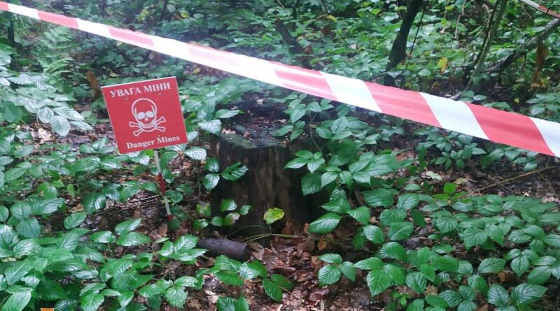 DrogMedia У Дрогобичі в парку виявили артилерійський снаряд часів ДСВ