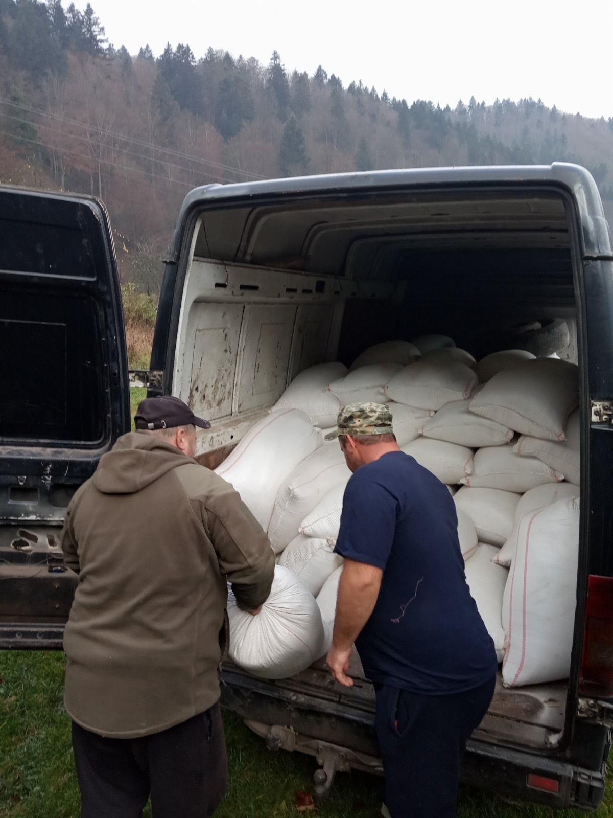 У НПП "Сколівські Бескиди" подбали про зимову підгодівлю зубрів 3 DrogMedia У НПП "Сколівські Бескиди" подбали про зимову підгодівлю зубрів
