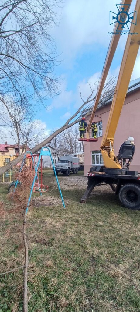 У Дрогобичі вітер повалив дерево на дах школи 2 DrogMedia У Дрогобичі вітер повалив дерево на дах школи