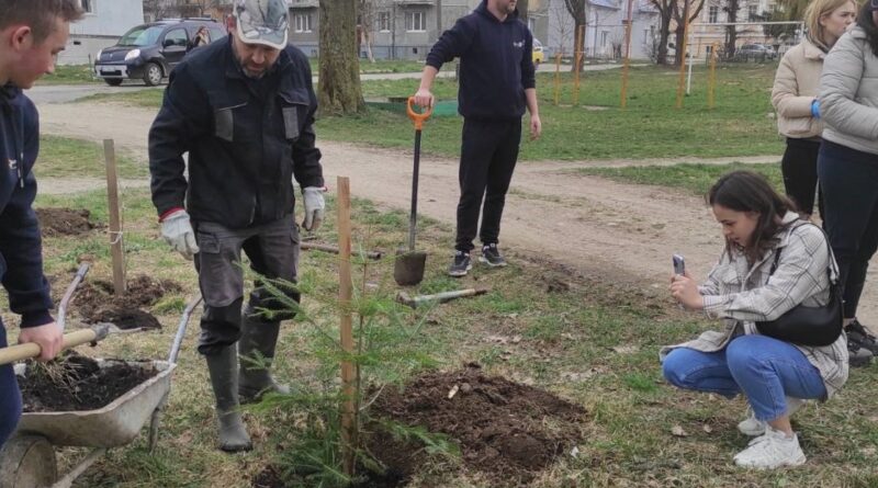 DrogMedia У Бориславі на території меморіальної площі висадили дерева та червонокнижні рослини