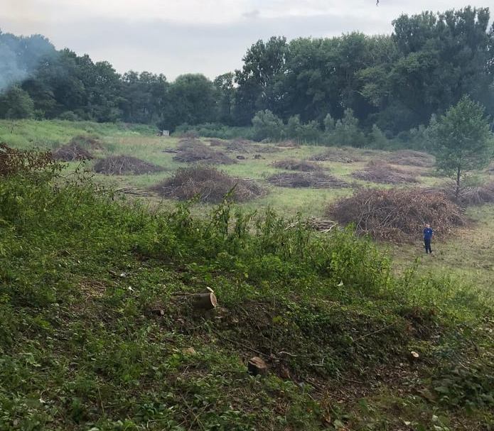 На озері в Парку Хмельницького планують облаштувати пляж та запустити катамарани 2 DrogMedia На озері в Парку Хмельницького планують облаштувати пляж та запустити катамарани