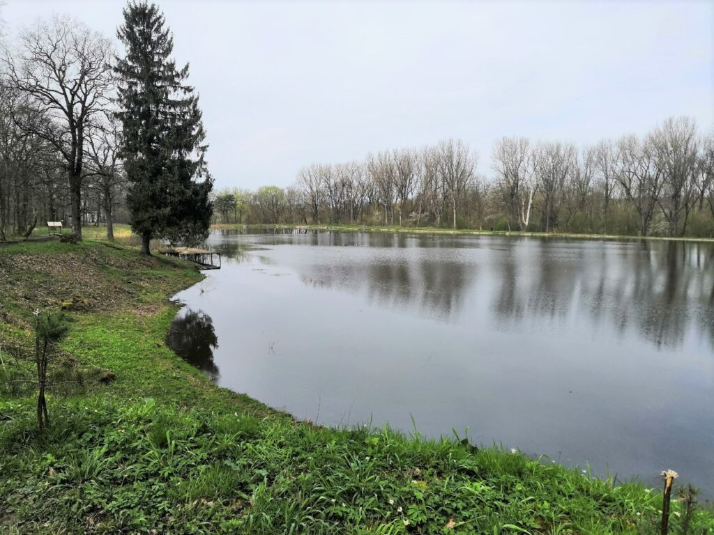 На озері в Парку Хмельницького планують облаштувати пляж та запустити катамарани 4 DrogMedia На озері в Парку Хмельницького планують облаштувати пляж та запустити катамарани