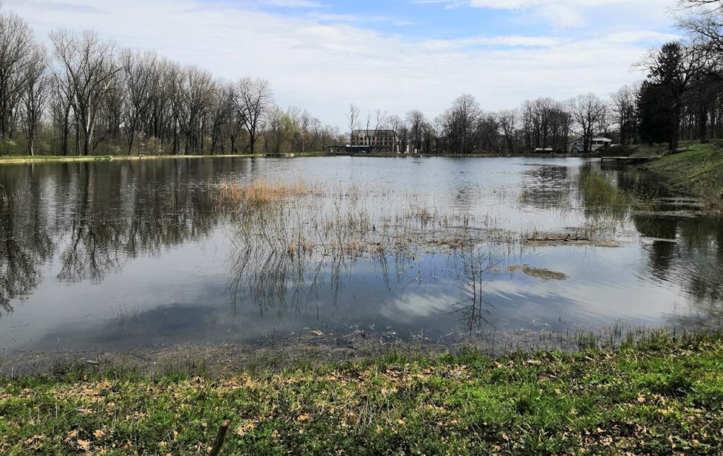 На озері в Парку Хмельницького планують облаштувати пляж та запустити катамарани 3 DrogMedia На озері в Парку Хмельницького планують облаштувати пляж та запустити катамарани