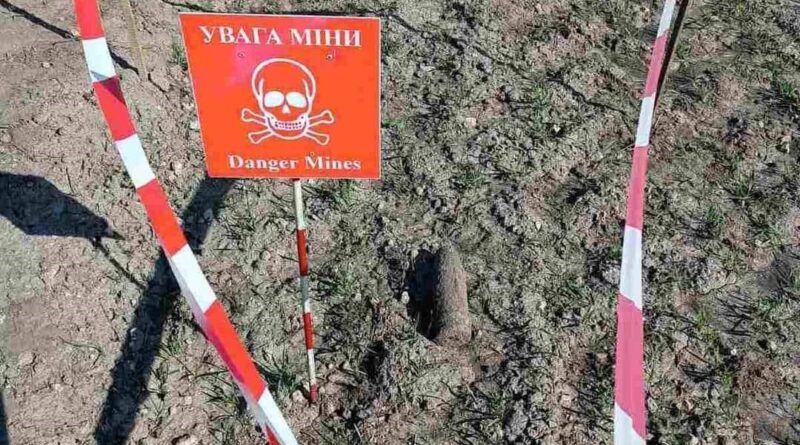 DrogMedia У полі поблизу Меденич виявили боєприпас часів ДСВ