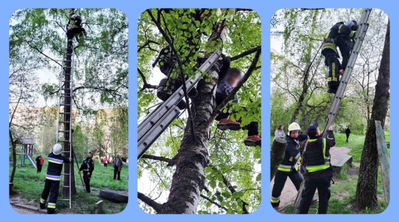 DrogMedia У Дрогобичі хлопчик заліз на дерево по іграшковий літак і застряг