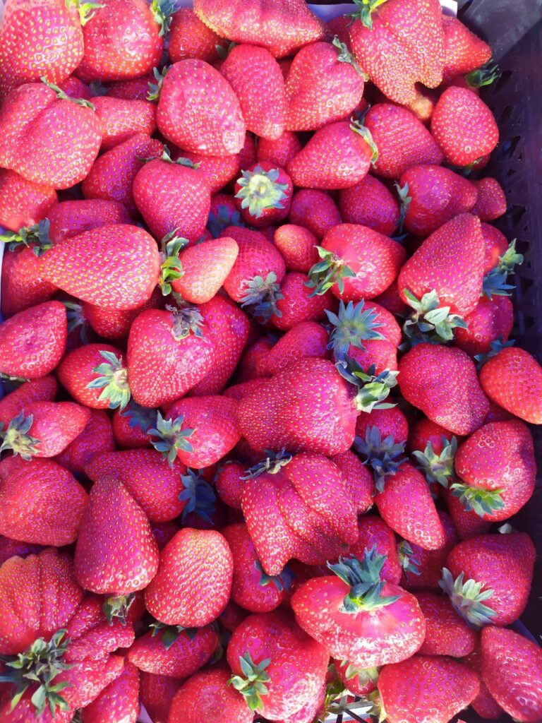 Полуниця подешевшала: ціни в Дрогобичі 2 DrogMedia Полуниця подешевшала: ціни в Дрогобичі