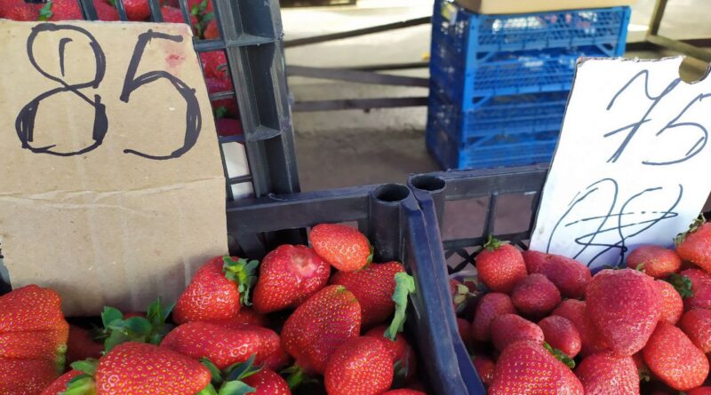 DrogMedia Полуниця подешевшала: ціни в Дрогобичі