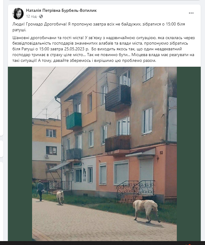 Алабаями, що нападають на собак в Дрогобичі, займається поліція 4 DrogMedia Алабаями, що нападають на собак в Дрогобичі, займається поліція
