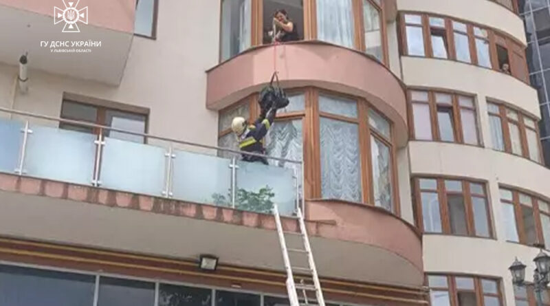 DrogMedia У Трускавці рятувальники зняли кота з 3-го поверху