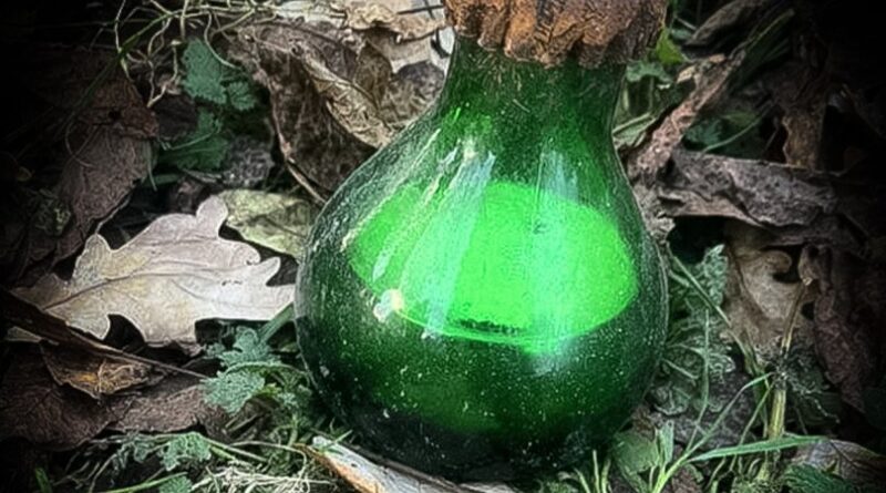 DrogMedia У Дрогобичі господар, копаючи город, знайшов 5 кг ртуті