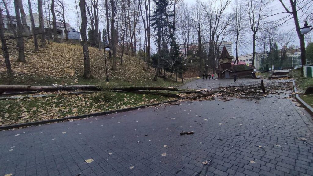 DrogMedia На Дрогобиччині негода наробила шкоди