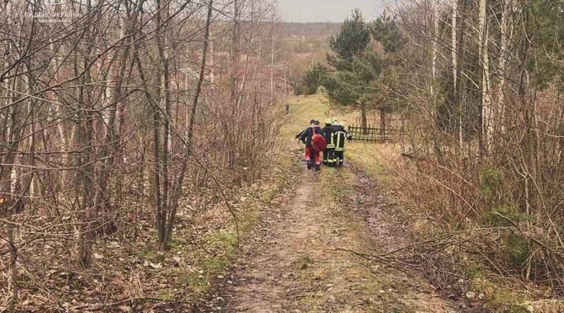 DrogMedia У лісі на Дрогобиччині на жінку впало дерево