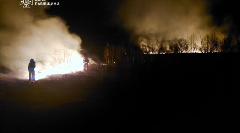 DrogMedia На Дрогобиччині спіймали на «гарячому» 6 паліїв сухої трави