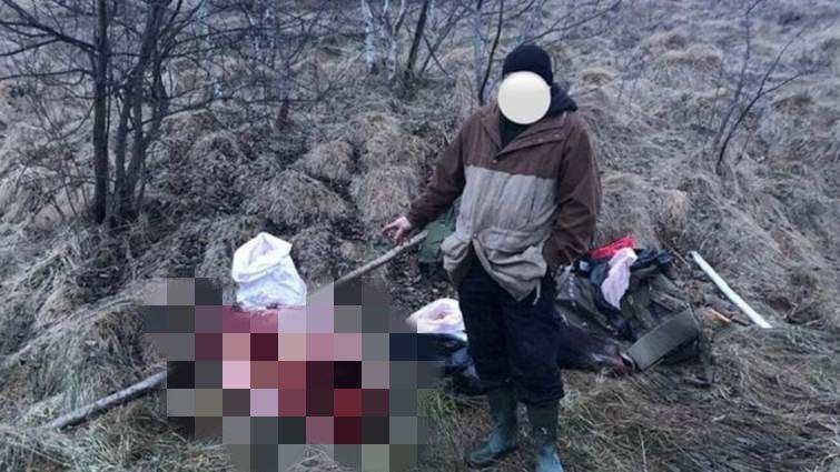 DrogMedia За вбивство лося дрогобицькому браконьєру суд призначив 18,7 тис. грн штрафу