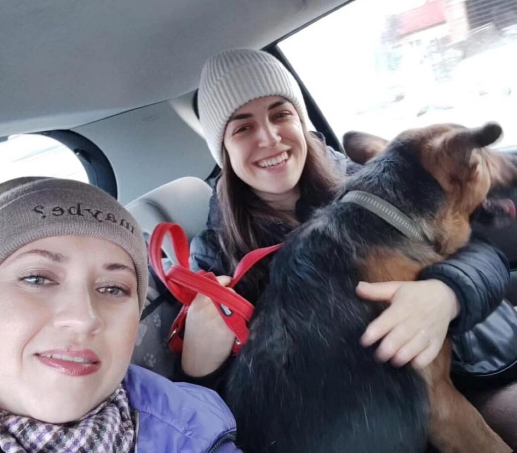 DrogMedia Олена Петришин: «Зооволонтерство – це не просто діяльність, це спосіб життя»