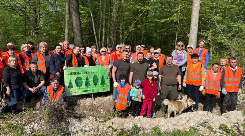 DrogMedia У Воля-Якубівському лісництві висадили 4000 дубів та кленів-яворів