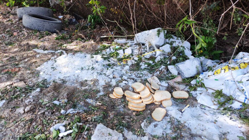 У Дрогобичі стихійне сміттєзвалище перетворили на клумбу. Та чи надовго? 6 DrogMedia У Дрогобичі стихійне сміттєзвалище перетворили на клумбу. Та чи надовго?