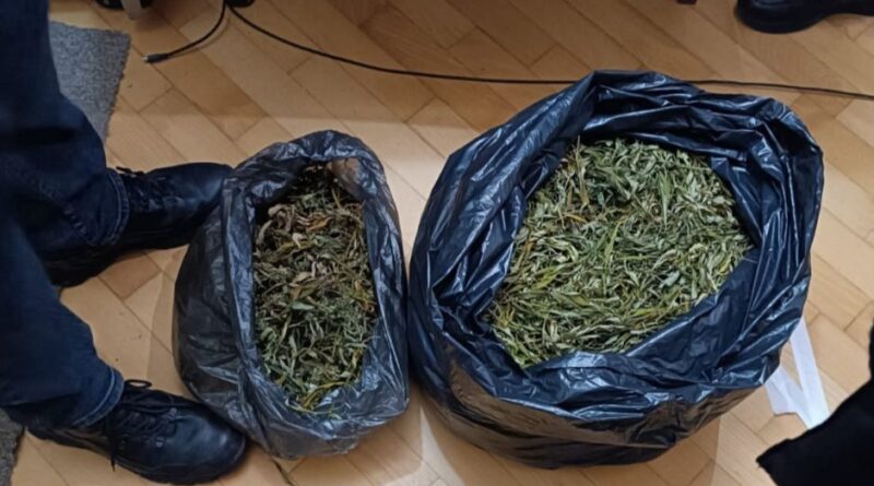 DrogMedia Дрогобичанина засуджено до понад 10 років ув'язнення за збут канабісу