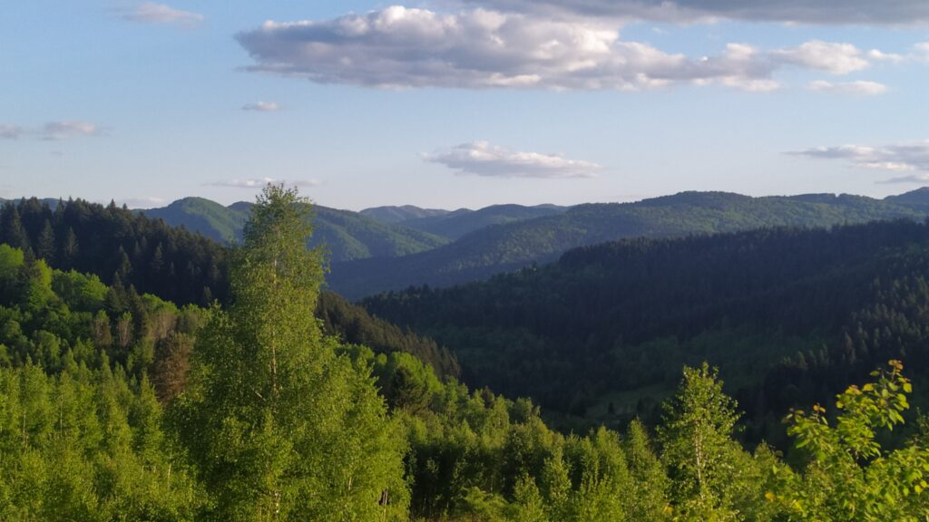 гори