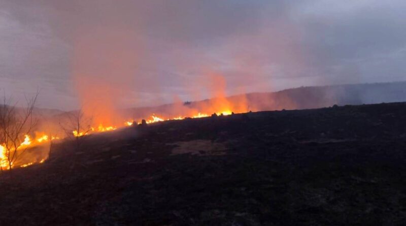 DrogMedia За добу на Дрогобиччині палії спалили понад 9000 кв.м. сухостою