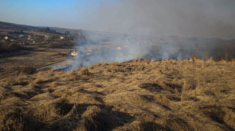 DrogMedia Львівщина у вогні: гинуть люди, тварини, але траву продовжують палити