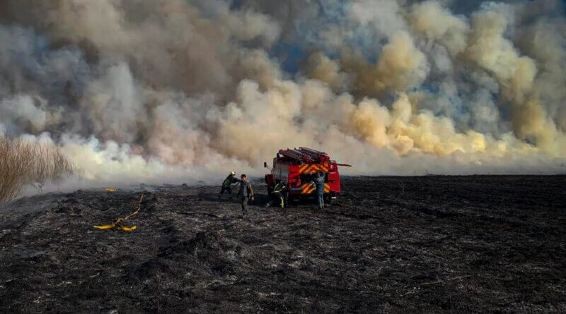DrogMedia Львівщина у вогні: 189 пожеж за добу, одна людина отримала опіки