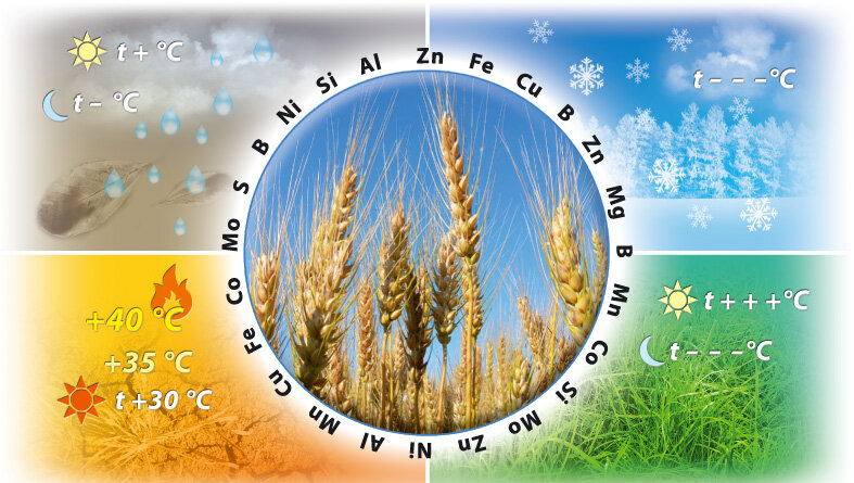 DrogMedia Навіщо мікроелементи потрібні та як їх правильно використовувати